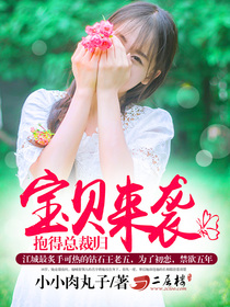宝贝来袭,抱得总裁归
