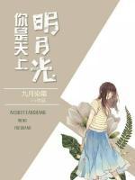 歌曲你是天上的明月